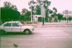 ORAN 2008 003